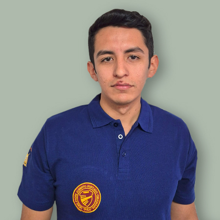 Marcelo Raúl Flores Meneses